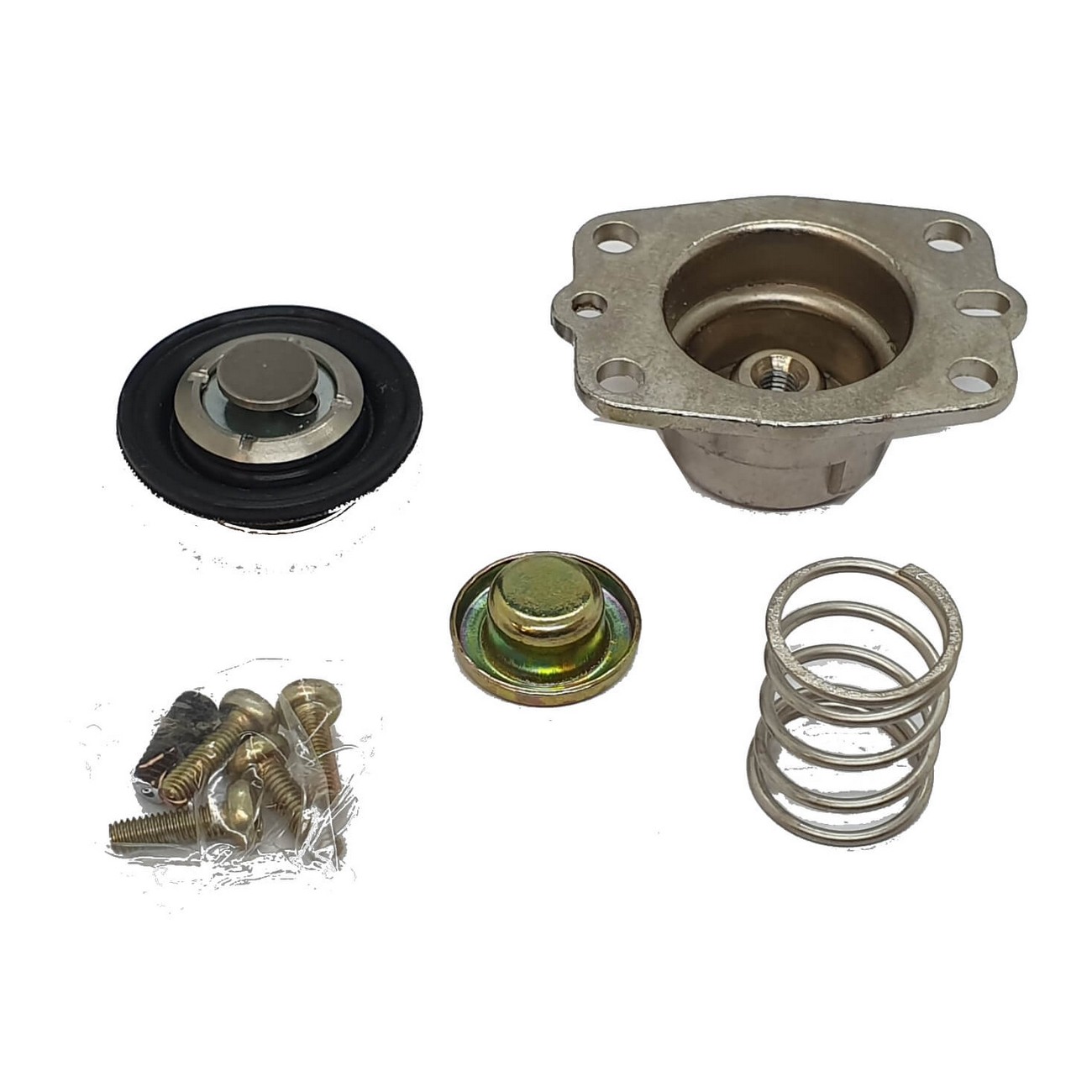 Diafragma Regulador Presion Chevrolet Ipanema Monza Mono